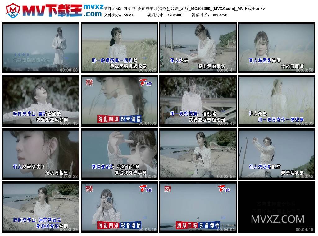杜忻恬-爱过放乎开(替换)_台语_流行_MC502390